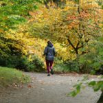 Woman jogging in an autumn forest in Arboretum, Seattle